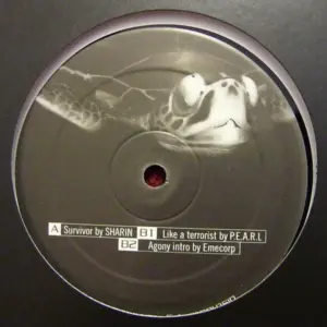 Various – Survival Guide