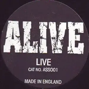 Beastie Boys – Alive (Live)