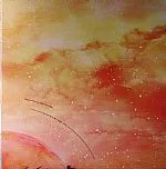 Calm Featuring Moonage Electric Ensemble – Moonage Electric Ensemble 4/4