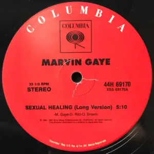 Marvin Gaye / Rodney Franklin – Sexual Healing / The Groove