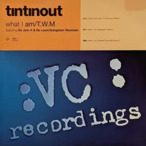 Tin Tin Out – What I Am /  T.W.M.
