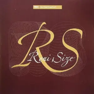 Roni Size – Snapshot 3
