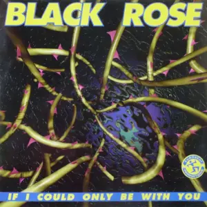 Black Rose – If I Could Only Be With You