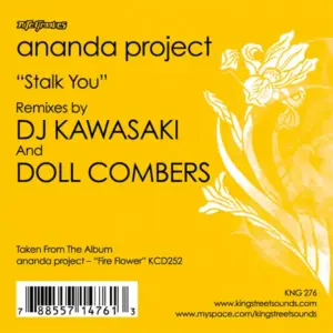 Ananda Project, The – Stalk You