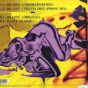 Bumblebeez, The – Dr Love