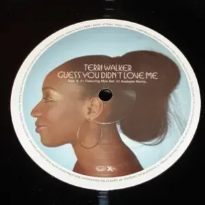 Terri Walker – Guess You Didn't Love Me