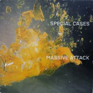 Massive Attack – Special Cases