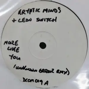 Kryptic Minds & Leon Switch / Unknown Error – More Like You (Unknown Error Remix) / Flip Funk
