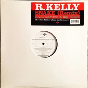 R. Kelly Featuring Cam'ron & Big Tigger – Snake (Remix)