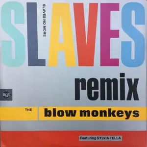 Blow Monkeys, The – Slaves No More (Remix)