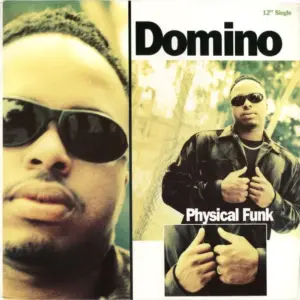 Domino – Physical Funk