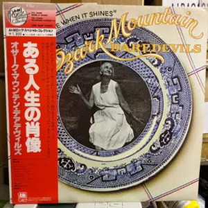 Ozark Mountain Daredevils, The – It'll Shine When It Shines