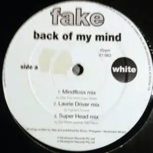Fake (6) – Back Of My Mind