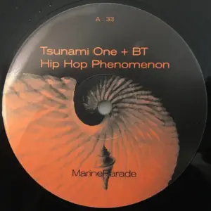 Tsunami One + BT – Hip Hop Phenomenon
