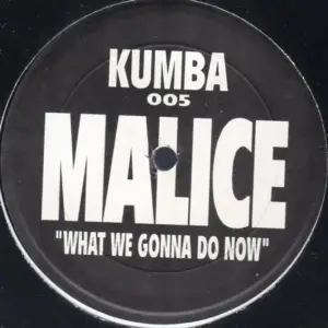 Malice (14) – What We Gonna Do Now