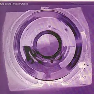 Future Bound / System 3 (3) – Poison Chalice / I Want You
