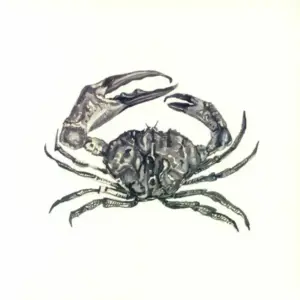 Adam Strömstedt – Crab Shack