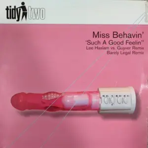 Miss Behavin' – Such A Good Feelin'