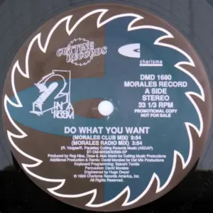 2 In A Room – Do What You Want