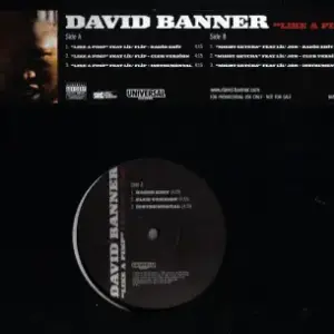 David Banner – Like A Pimp / Might Getcha