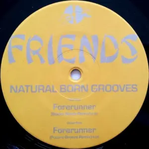 Natural Born Grooves – Forerunner (Remixes)