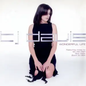 TJ Davis – Wonderful Life