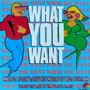 Hollywood Hit Factory, The – What You Want
