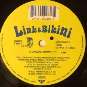 Link & Bikini – Kissing