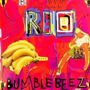 Bumblebeez, The – Flying Down To Rio