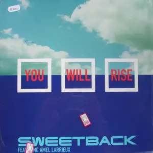 Sweetback Featuring Amel Larrieux – You Will Rise