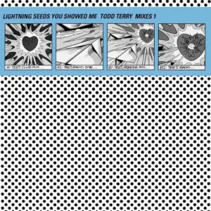 Lightning Seeds – You Showed Me (Todd Terry Mixes 1)