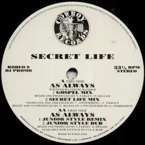 Secret Life – As Always