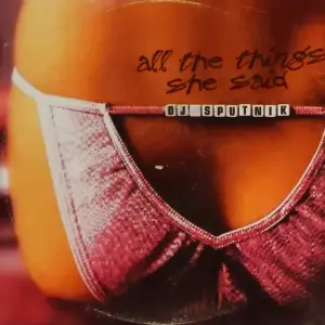 DJ Sputnik – All The Things She Said