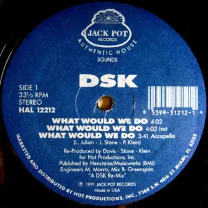 DSK – What Would We Do / Read My Lips