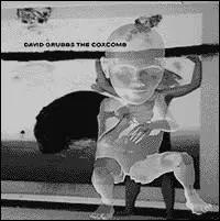 David Grubbs – The Coxcomb