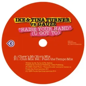 Ike & Tina Turner Vs. Gauzz – Raise Your Hand (U Got To)