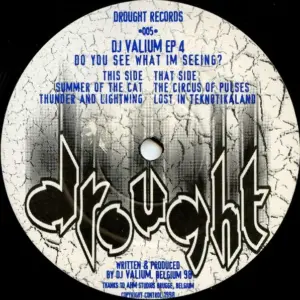Valyom – Do You See What Im Seeing?