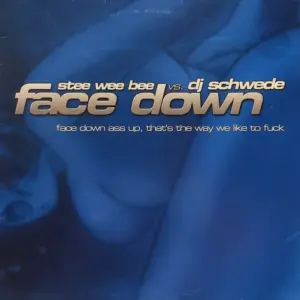 Stee Wee Bee Vs. DJ Schwede – Face Down