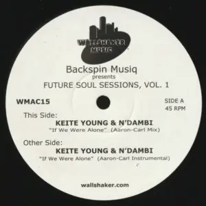 Keite Young & N'Dambi – Backspin Musiq Presents Future Soul Sessions, Vol. 1