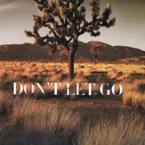 Mondo Grosso – Don't Let Go