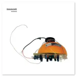 Rawakari – Ikebana