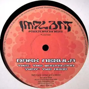 Dark Nebula – The Door / The Wasteland