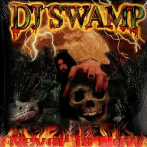 DJ Swamp – Never Is Now