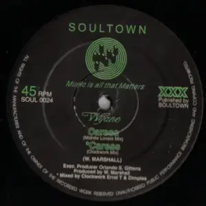 Wayne Marshall (3) – Caress / Everybodys Gotta Rave
