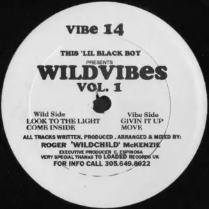 This 'Lil Black Boy – Wildvibes Vol. 1