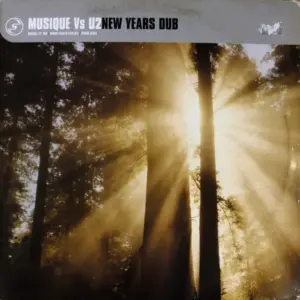 Musique (2) Vs U2 – New Years Dub