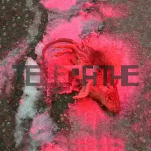 Telepathe – Chrome's On It EP
