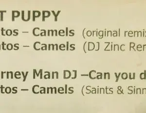 Santos / Journey Man DJ – Camels / Can You Dig It