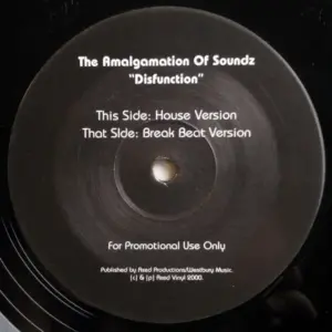 Amalgamation Of Soundz, The – Disfunction