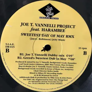 Joe T. Vannelli Project Feat. Harambee – Sweetest Day Of May RMX